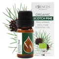 Essences Bulgaria BIO Ätherisches Waldkiefer Öl 10ml | Pinus sylvestris | 100% Naturrein | Unverdünnt | BIO-zertifiziert | Spitzenqualität aus Familienbetrieb | Ohne Gentechnik | Vegan