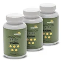 Wellpursan Sangioton Extra, 360 Stück, hochwertige L-Arginin Kapseln hochdosiert mit L-Citrullin, Olivenblatt, Coenzym Q10,Vitamin K2, 100% Vegan, frei von Zusätzen