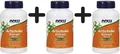 3 x NOW Foods Artichoke Extract, 450mg - 90 vcaps (170,33 EUR/kg)