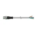 Murrelektronik M12 Stecker frei.Ltg.ende 7000-12041-2151000 Sensor-Aktor-Kabel