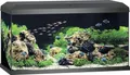 Juwel Aquarium Primo 110 LED 2.0 inkl. Abdeckung, Bioflow Super Filter, Eccoflow Pumpe, AquaHeat Pro, NovoLux LED ca. 81