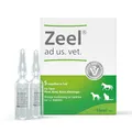 ZEEL ad us.vet.Ampullen 5X5 ml