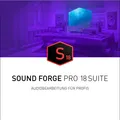 Magix SOUND FORGE Pro 18 Suite Download Code (1 User, 1 Geräte/User, unbegrenzt) (639191550843)