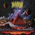Absolute Elsewhere [Vinyl LP]