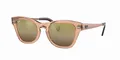 Sonnenbrille Ray-Ban Transparent Brown Brown Vintage RB0707SM 6449G7