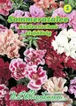 N.L. Chrestensen 545806 Sommerazalee Azaleenschau (Sommerazaleensamen)
