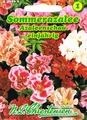 Sommerazalee Azaleenschau gefülltblühend 'Godetia grandiflora'  545806
