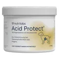 NutriLabs Acid Protect Hund Kautabletten 100 St