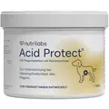 Acid Protect 250g - 100 Kautabletten