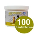 NutriLabs Acid Protect Hund 250g Dose mit 100 Kautabletten (199,96 EUR/kg)