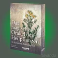 DAS MAGISCHE ORAKEL DER HEILPFLANZEN | 36 magische Karten mit Anleitungsbuch
