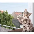 Jollypaw Schutznetz 3 m × 2 m