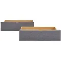 Homestyle4u Bettkasten Bett Schublade 2er Set Bettauszug mit Rollen Grau 1916