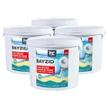 Höfer Chemie 4 x 5 kg (20 kg) Pool Chlor Tabletten 20g BAYZID schnell löslich mit 56% Aktivchlorgehalt für Pool & Schwimmbad