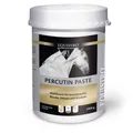 Equistro Percutin Paste äußerlich vet. 2 kg