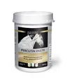 EQUISTRO® Percutin Paste | Pflegeprodukt für Pferde mit Tonerde, Arnika und Menthol | Normalisiert die Flüssigkeitsverteilung im Gewebe | Besonders wohltuend | 2.000g