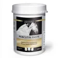 Equistro Percutin Paste 2 kg | Pferde | Flüssigkeitsverteilung | Kühlung
