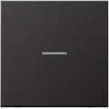 Jung AL10911STRFD KNX RF Taster 1-fach, Aluminium lackiert, Serie LS, dark