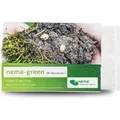 e-nema 50 Mio. Nematoden gegen Engerlinge nema-green