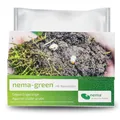 HB-Nematoden gegen Engerlinge | 50 Mio. für 100m² | nema-green Nematoden von e-nema