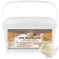 GOLDEN PEANUT Vital Weizengluten 5 kg - vegan, Weizeneiweiß, Seitan, Herstellung von Fleischersatz
