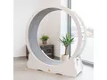 Canadian Cat Company Tier-Aktivitätsspiel Cat in Motion 2.0 - Tierlaufrad, Katzenlaufrad aus Holz, MDF Verbundwerkstoff, Leise, Pfotenschutz, Feststellbar, 100 oder 120cm Innendurchmesser