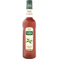 Mathieu Teisseire Bar Sirup Vanille Geschmack 0,7L
