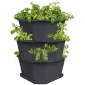 Gusta Garden Kartoffelturm "Paul Potato" in Schwarz - (B)38 x (H)50 x (T)36 cm
