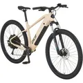 Prophete E-Bike MTB Dice 2.0 Vollintegriert Sandbeige Matt 29 Zoll