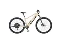 Prophete Dice 2.0 E-MTB E-Bike 29"