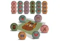 Bada Bing Handtuch Set Magisches Handtuch Kinder Zauberhandtuch Bauernhof Tiere Waschlappen, (24-St), 100% Baumwolle, Zauberhandtuch