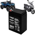 Xtreme Blei-Akku Gel Battery Lead Acid Battery Batterie Akku (6V 4Ah)