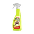 SONAX InsektenStar Insektenentferner Insektenlöser 750 ml 02334000