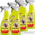 6x 750ml SONAX INSEKTENSTAR INSEKTENENTFERNER REINIGER AUTO LACK KUNSTSTOFF GLAS