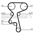 CONTINENTAL CTAM (CT873WP2) Wasserpumpe+Zahnriemensatz für OPEL