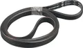 Europart Keilrippenriemen 481235818206 1236PJ4E ELASTISCH für Waschmaschine