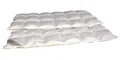 Betten Hofmann 4-Jahreszeitenbett Betten Hofmann leichte Premium Ganzjahres-Daunendecke 6x8 155x220 cm, Füllung: 100% Gänsedaunen, Bezug: 100% Baumwolle, leichte Ganzjahresdecke, wasserbettengeeignet
