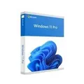 Microsoft Windows 11 Pro DE, ESD