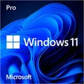 Microsoft Betriebssystem Windows 11 Pro HAV-00180, 64 Bit, USB-Stick / Flash, SB/OEM