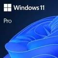 Microsoft Windows 11 PRO 64-BIT FPP USB-STICK GERMAN
