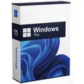 Microsoft Windows 11 Win 11 Pro Professional 64Bit Key