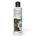 ReaVET Hundeshampoo gegen Schuppen & Juckreiz 250ml, bei Hautirritationen, trockene Sensible Haut, Rückfettend für Fellglanz ohne Duftstoffe, Anti Schuppen Juckreiz Shampoo Hund