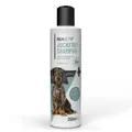 REAVET Hundeshampoo 250ml gegen Schuppen & Juckreiz trockene Haut Hunde Shampoo