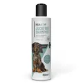 REAVET Hunde Shampoo gegen Schuppen & Juckreiz, trockene Sensible Haut