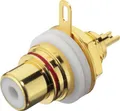 Monacor T-710GI Cinch-Einbaubuchse
