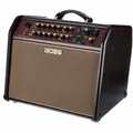 ACS Acoustic Singer Pro