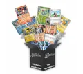 POKÉMON Sammelkarte Pokémon Karten Set Deutsch – 30/50/100/200 Karten + Holos u. Sleeves