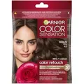 Palette GARNIER Color Retouch szampon koloryzujący 4.0 Brąz (Braun) (53898265)