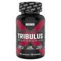 Weider Premium Tribulus Dose mit 90 Kapseln (388,75EUR/1000g)
