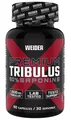 Joe Weider Premium Tribulus, 90 Kapseln